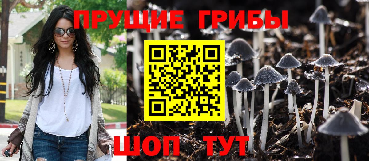 Нижний Новгород  Псилоцибиновые грибы GOLDEN TEACHER  Вход с VPN 